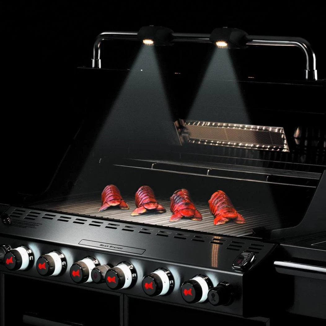 Weber Summit E 670 Gas Grill 4 Weber Summit E 670 Gas Grill